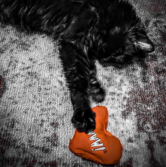 Meet your Posher, Melanie - Picture 1 of 1